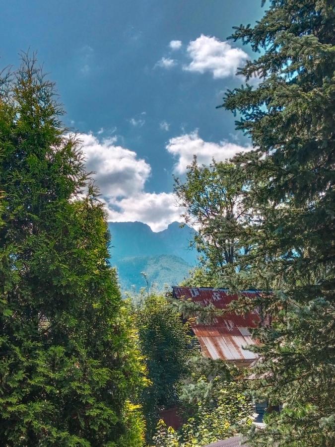 Wynajem Pokoi Goscinnych Zakopane Esterno foto