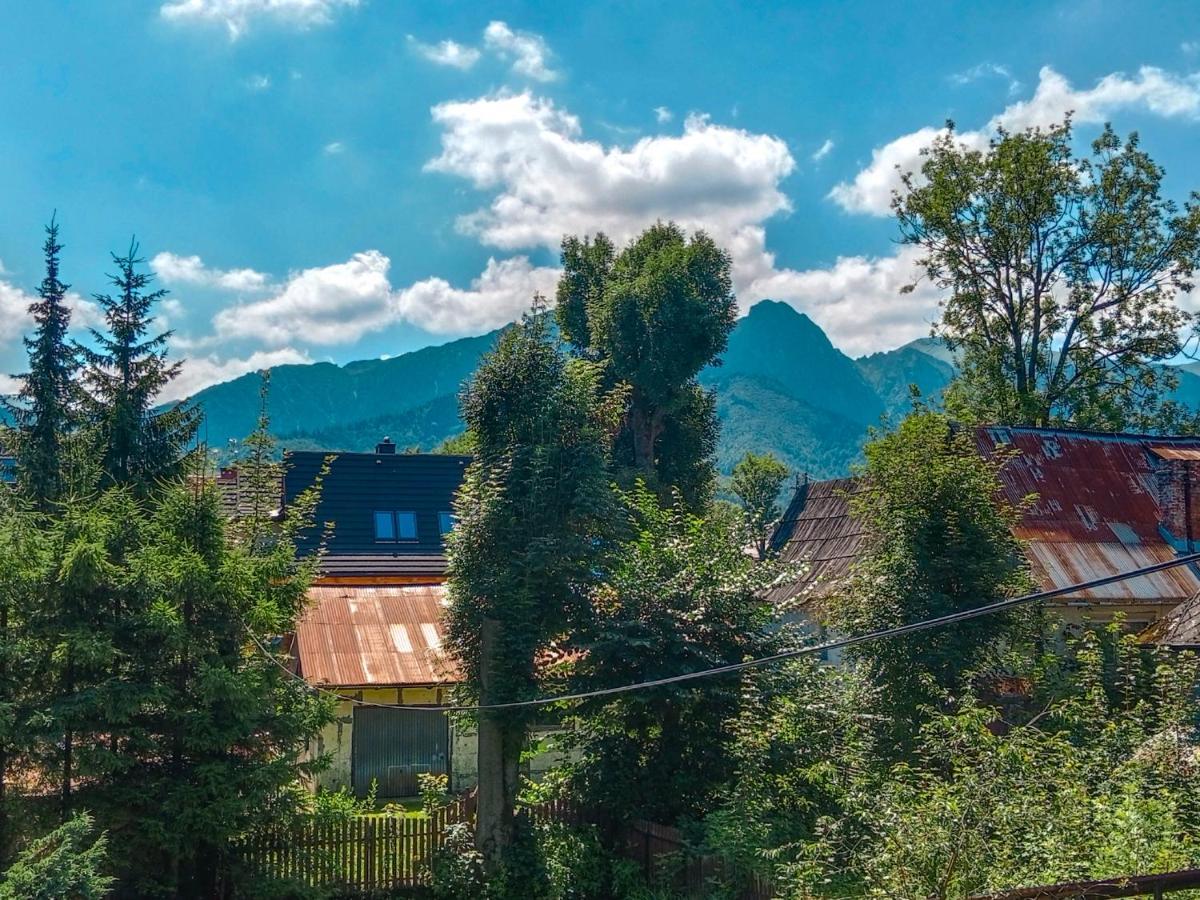 Wynajem Pokoi Goscinnych Zakopane Esterno foto