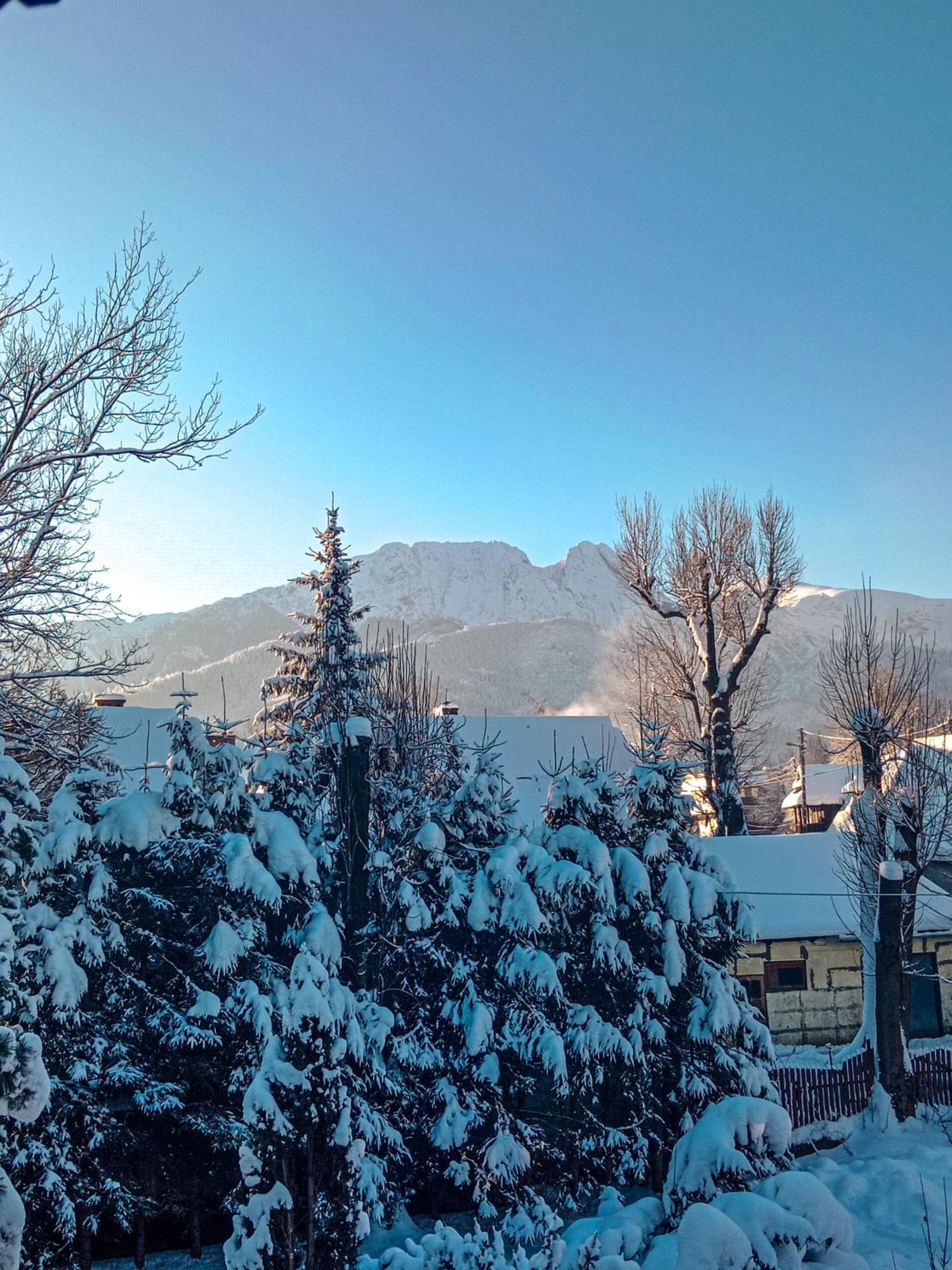 Wynajem Pokoi Goscinnych Zakopane Esterno foto